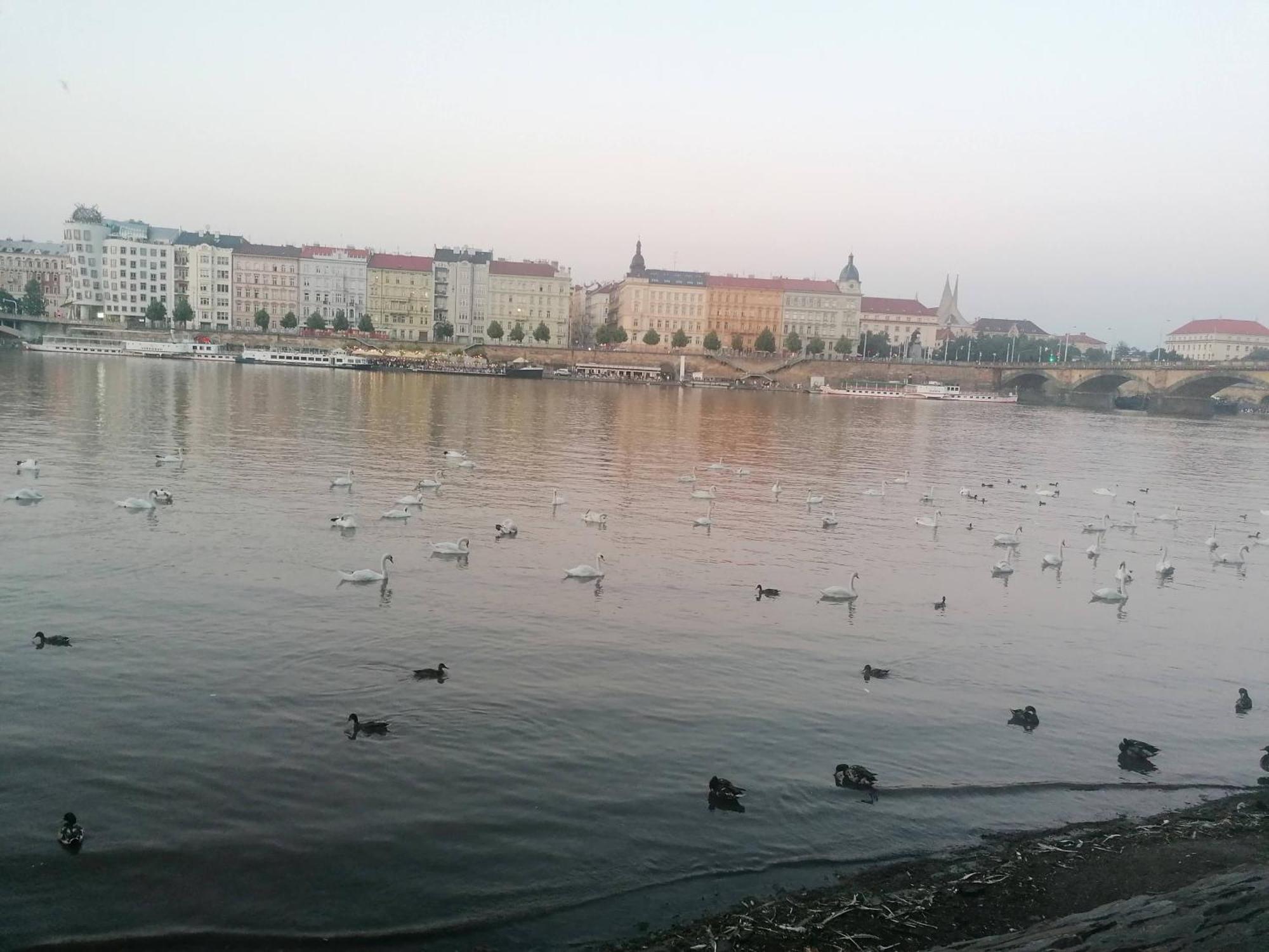 شقة Valentinka Minutes Away From Charles Bridge براغ المظهر الخارجي الصورة